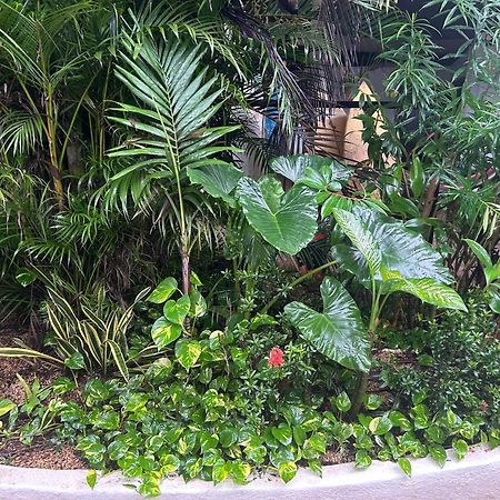 Pura Vida Hostel Tamarindo Ngoại thất bức ảnh