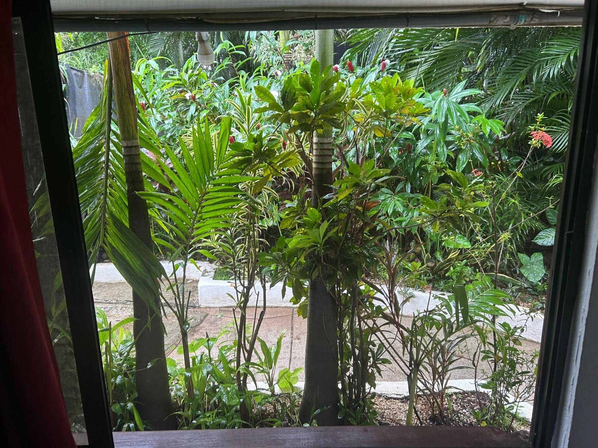 Pura Vida Hostel Tamarindo Ngoại thất bức ảnh